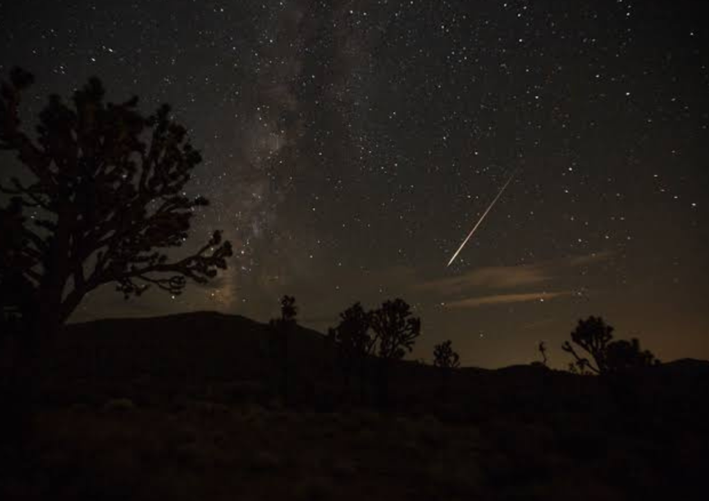 Perseid Meteor Shower Night (August)