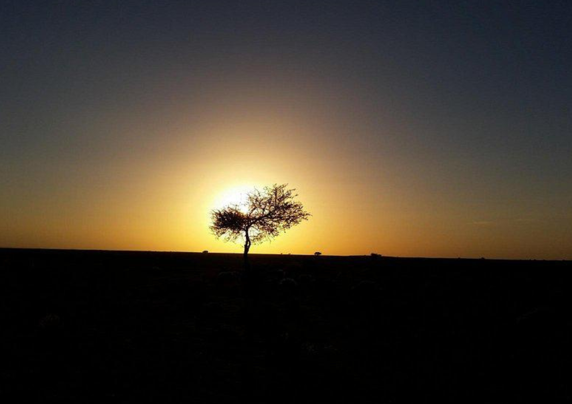 5 DAY MARRAKECH TO MERZOUGA STARGAZING DESERT TOUR